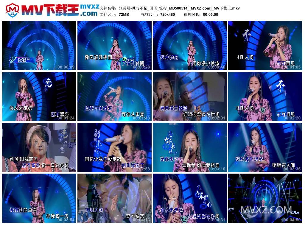 张碧晨-见与不见_国语_流行_MD500514